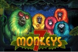 7 Monkeysプロバイダー