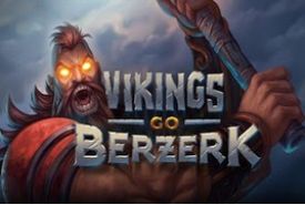 Vikings Go Berzerkプロバイダー