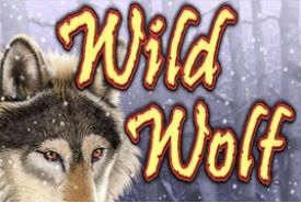 Wild Wolfプロバイダー