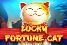 Lucky Fortune Catプロバイダー
