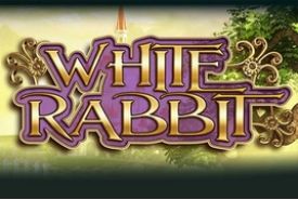 White Rabbitプロバイダー